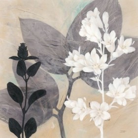 Botanical Story 1