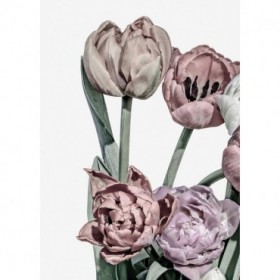 Tulips Bright 2 - Cuadrostock