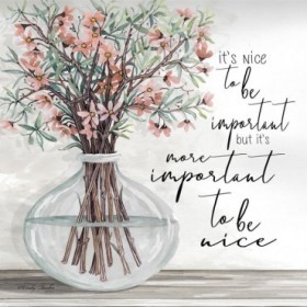 Its Important to be Nice