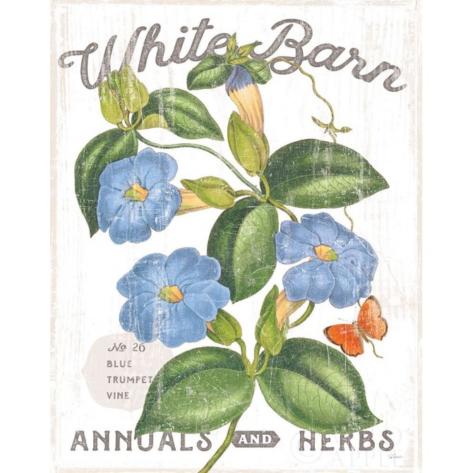 White Barn Flowers II - Cuadrostock