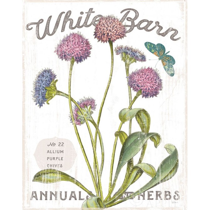 White Barn Flowers VI