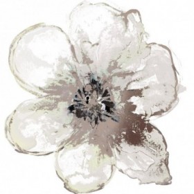 Floral-White