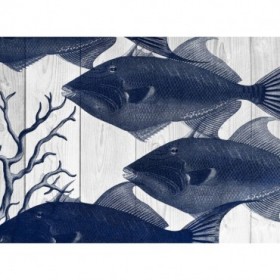 Blue Fishe - Cuadrostock