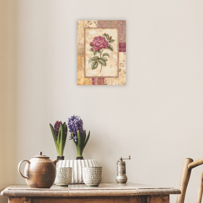 Provence Rose I