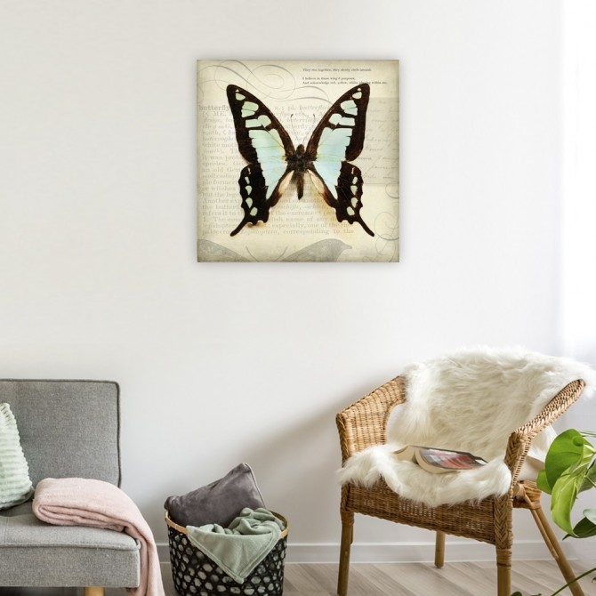 Butterflies Script I
