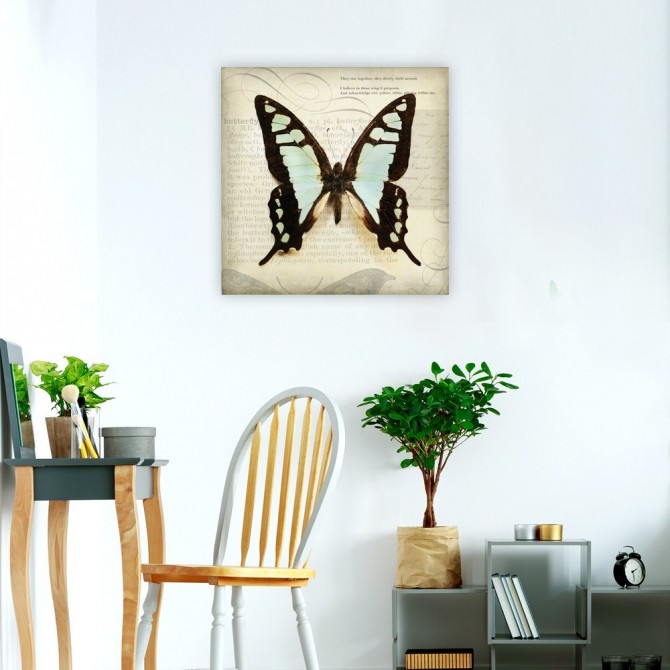 Butterflies Script I
