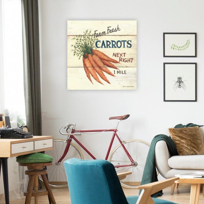 Farm Fresh Carrots - Cuadrostock