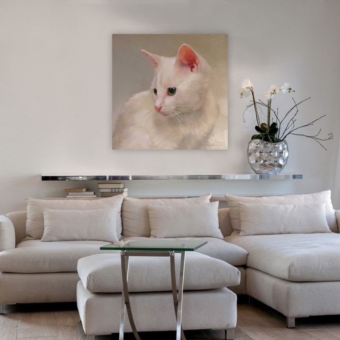 White Kitten - Cuadrostock