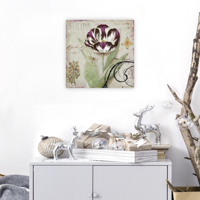 Tulipa II