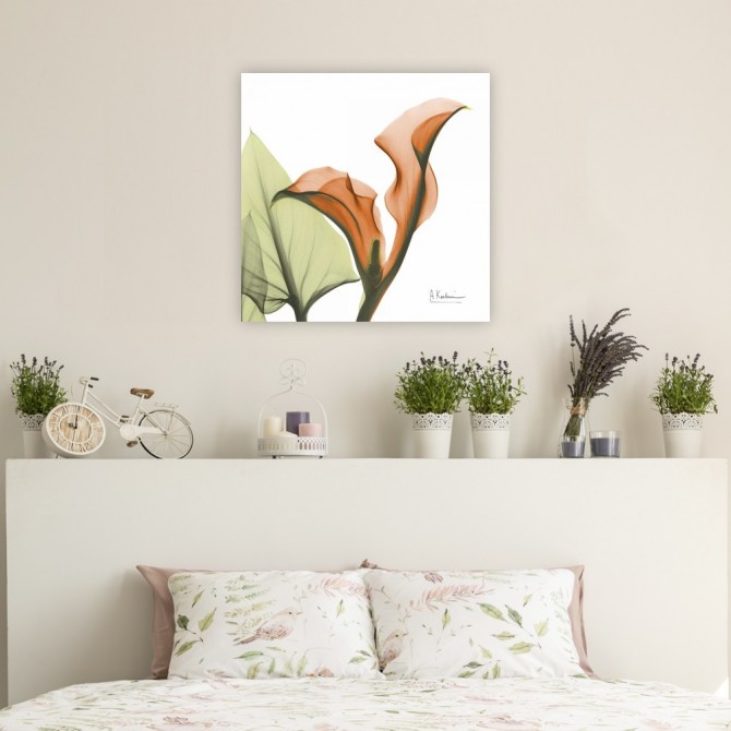 A Gift of Calla Lilies in Orange - Cuadrostock