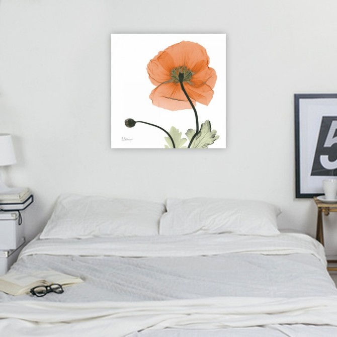 Cuadro para dormitorio - A Gift of Flowers in Orange - Cuadrostock