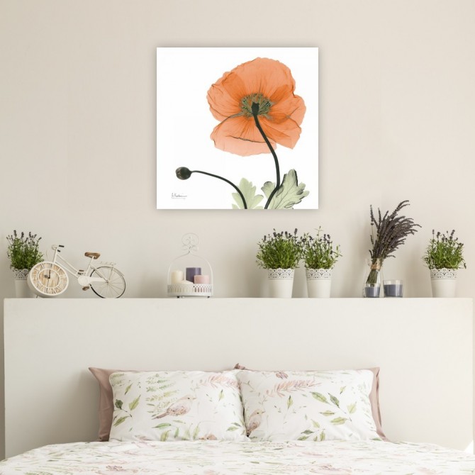 Cuadro para dormitorio - A Gift of Flowers in Orange - Cuadrostock