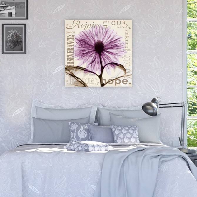 Rejoice - Violet Chrysanthemum