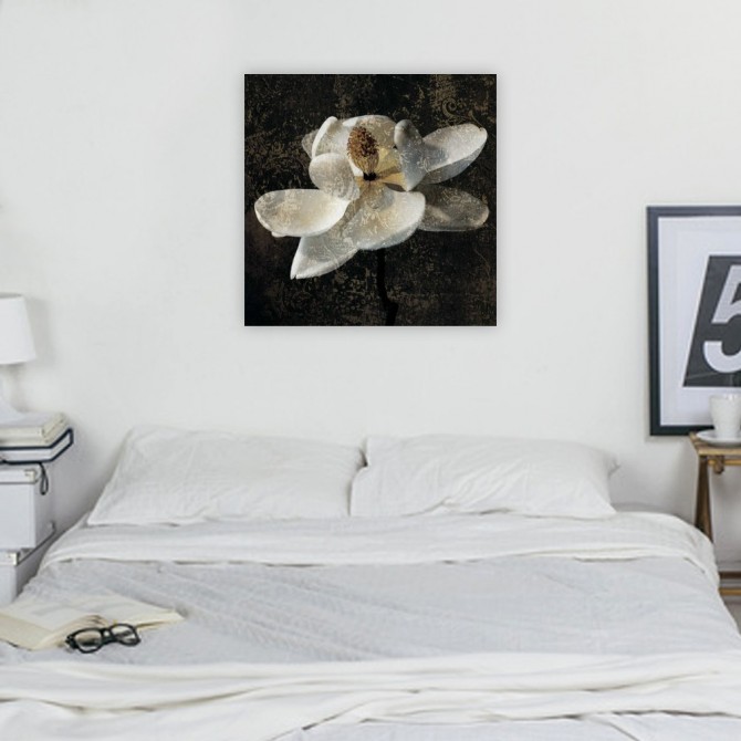 Magnolia II - Cuadrostock