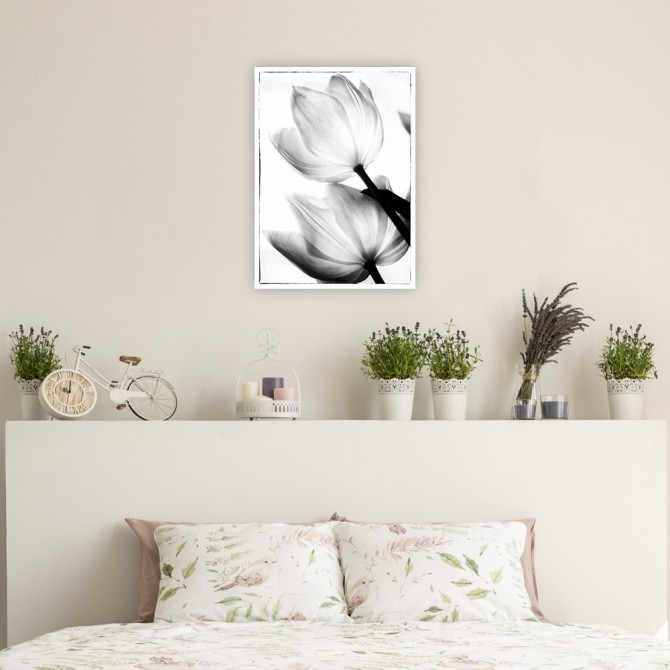 Cuadro para dormitorio - Translucent Tulips II - Cuadrostock