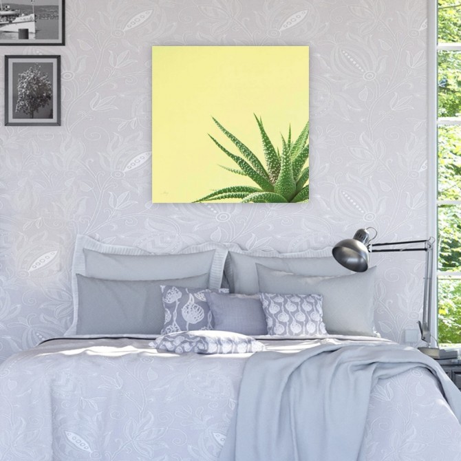 Cuadro para dormitorio - Succulent Simplicity II - Cuadrostock