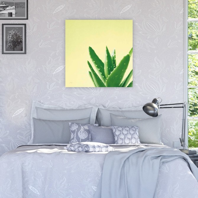 Cuadro para dormitorio - Succulent Simplicity VI - Cuadrostock
