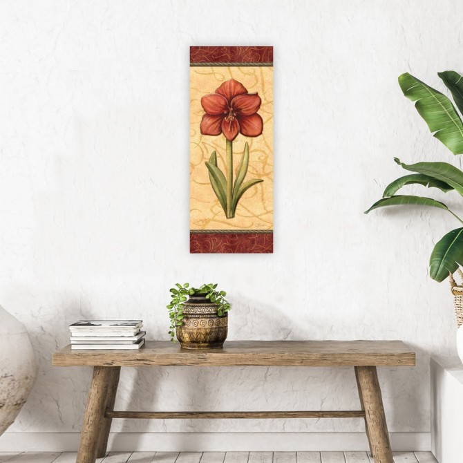 Red Passion Amaryllis