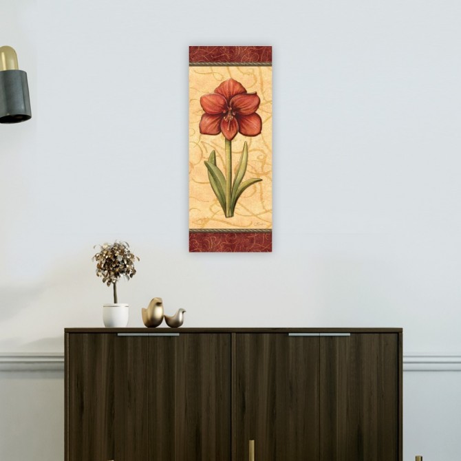 Red Passion Amaryllis