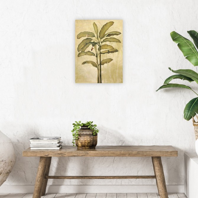 Palms of the Tropics II