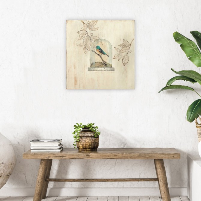 Aviary Display - Cuadrostock