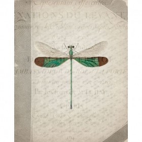 Dragonfly Book 2 - Cuadrostock