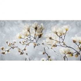 White Flowers In Grey