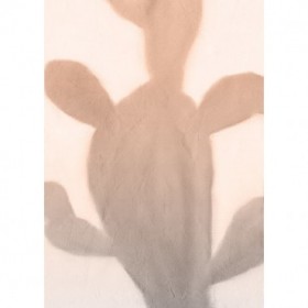 Pink Dusk Cactus 2