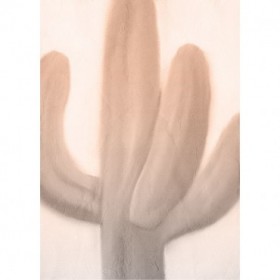 Pink Dusk Cactus 1