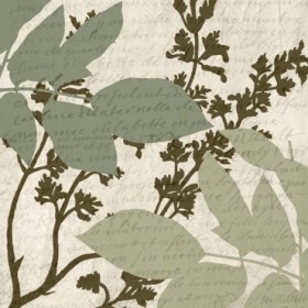 Sage 5