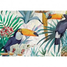 Tropical Tucan