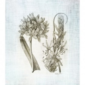 Farmhouse Botanical 1