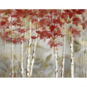 Autumn Forest