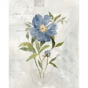 Blue Linen Peony