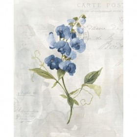 Blue Linen Sweet - Cuadrostock