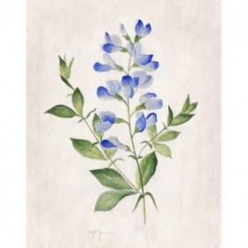 Blue Botanical II