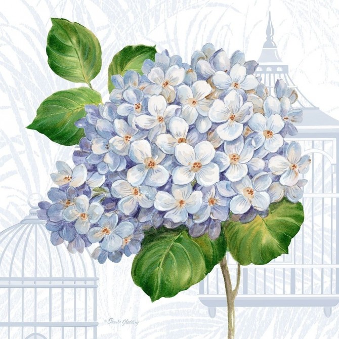 Hydrangea Cages II - Cuadrostock