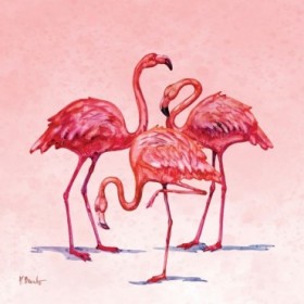 Hilo Flamingos II - Cuadrostock