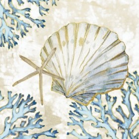 Playa Shells II