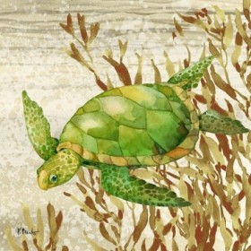 Calypso Turtles II - Cuadrostock