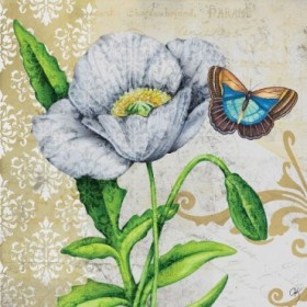 Poppy and Butterfly