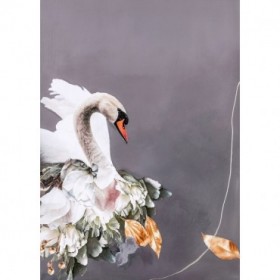Swan Gold 1 - Cuadrostock