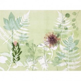 A Myriad Celebration of Plants
