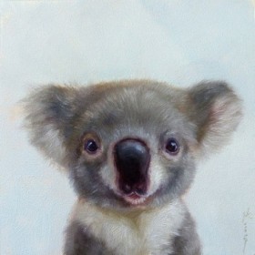 Lil Koala - Cuadrostock