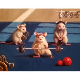 Gym Rats - Cuadrostock
