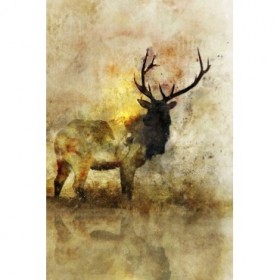 Calm Deer I - Cuadrostock