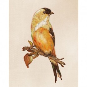 Bird on Perch III - Cuadrostock