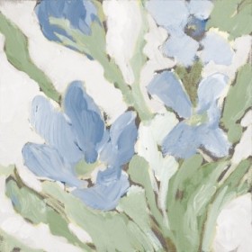 Blue Begonias I - Cuadrostock