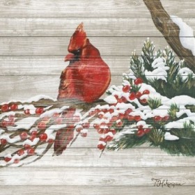 Winter Red Bird on Wood I - Cuadrostock