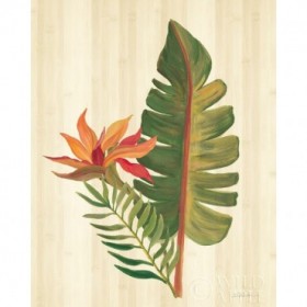Tropical Garden VI